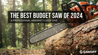 The Best Budget Saw of 2024: A Professional Arboristโs Deep Dive into Value vs. Power